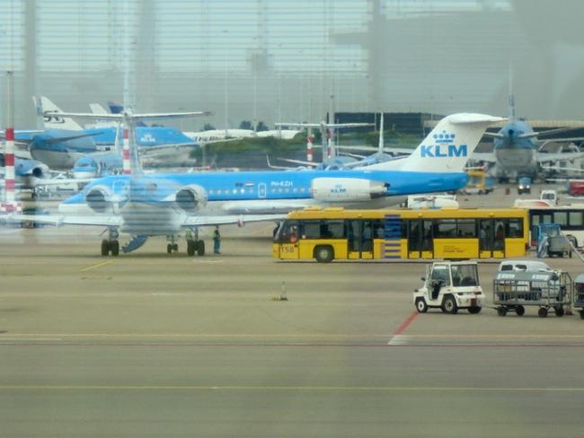 CIMG1290_resize.JPG
